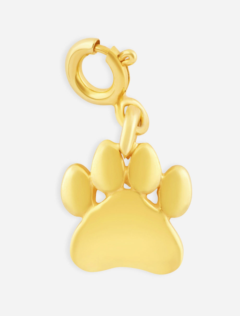 Dog Paw