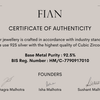 The FIAN Earrings