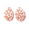 Nakshatra earrings