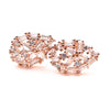Nakshatra earrings