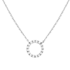The Medallion