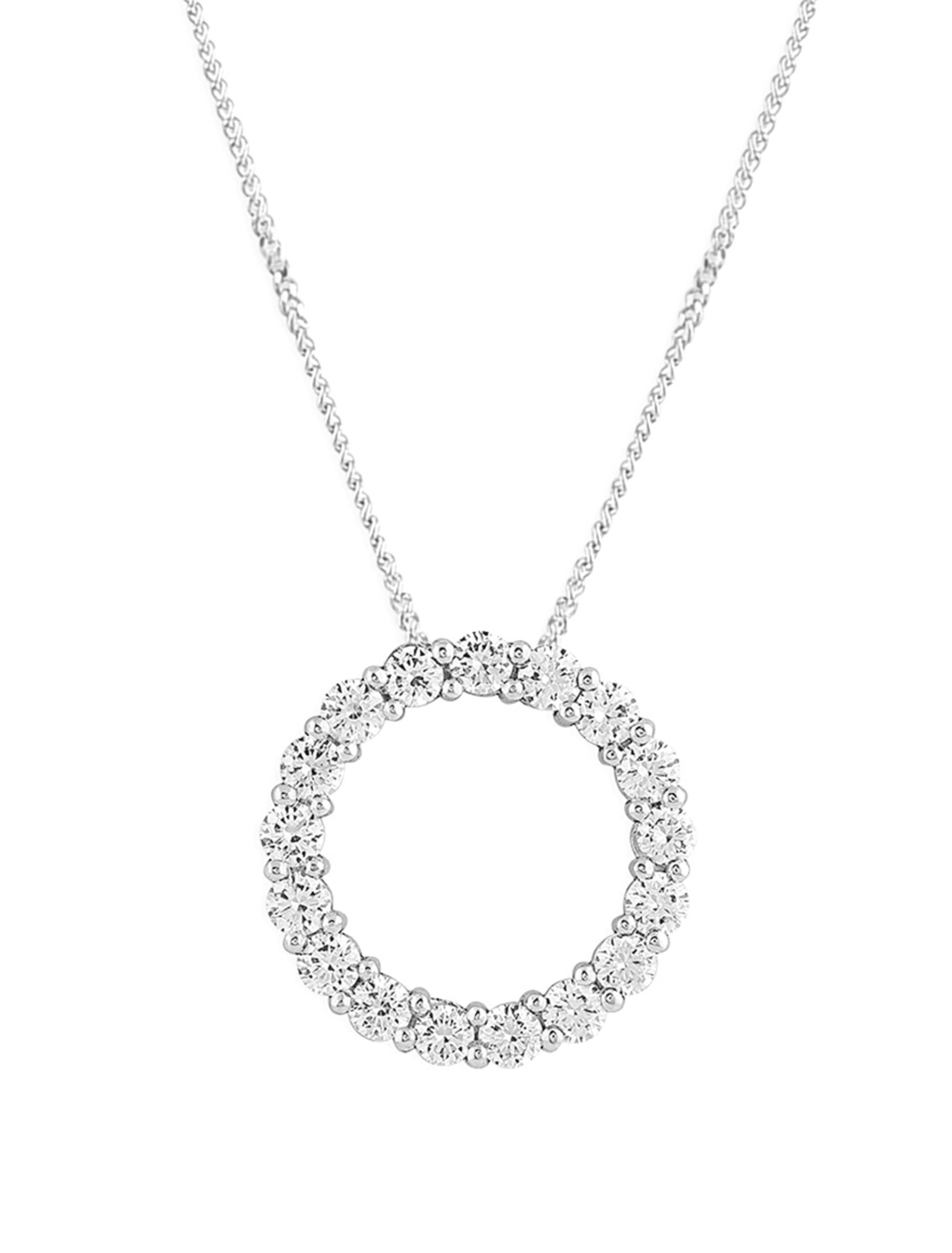 The FIAN Pendant