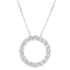 The FIAN Pendant