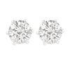 Iris Studs